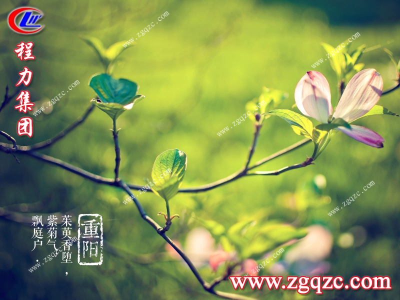 程力集团 程力集团